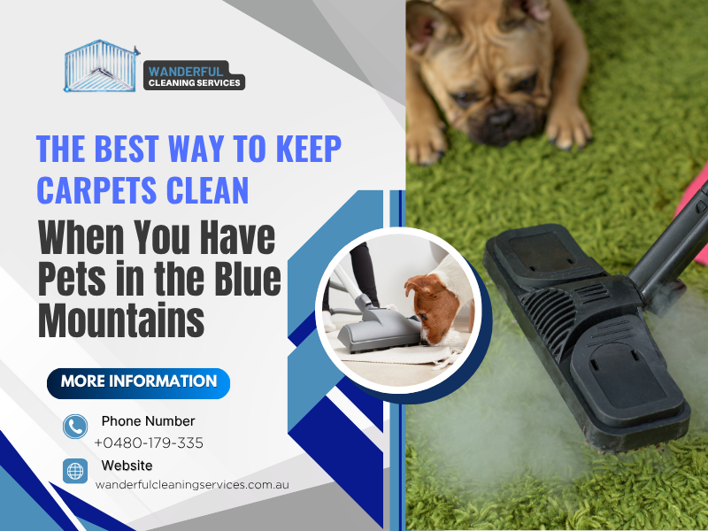 Carpets Cleaning in the Blue Mountains for Pet Owners